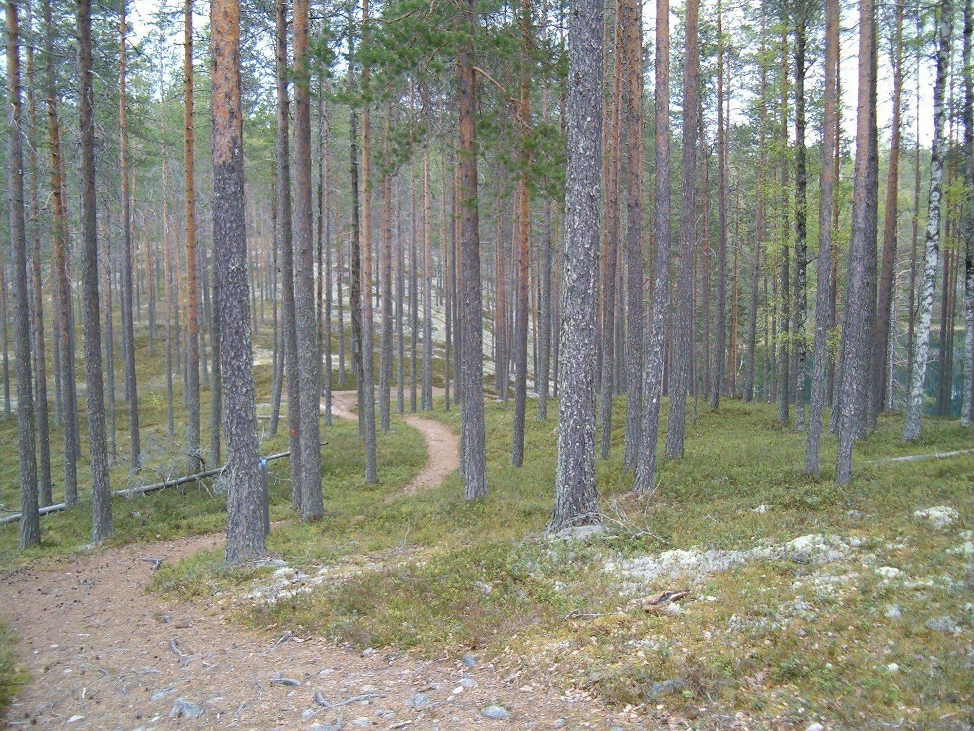 Manamansalo Camping Exterior photo